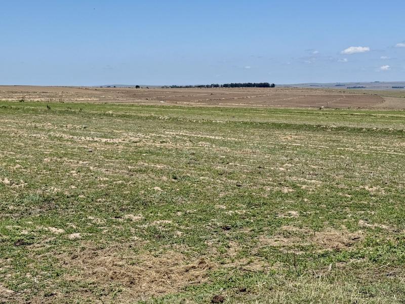 0 Bedroom Property for Sale in Tweeling Free State